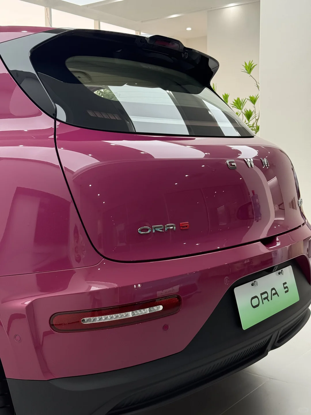 欧拉5｜A级纯电suv卷王登场