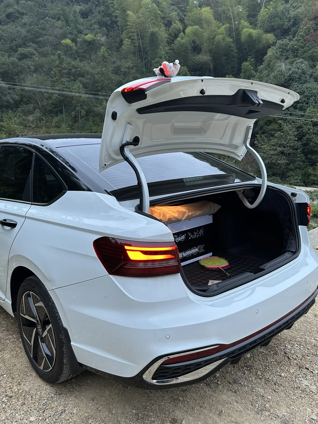 花10w➕提了一辆很酷的车车🥳