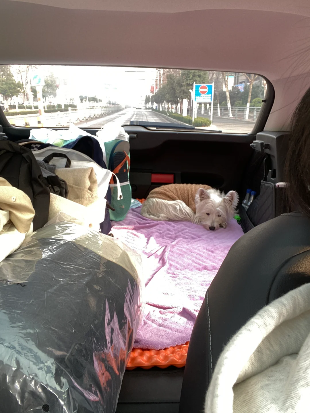 女生开suv真的很香😎落地10w+真实感受