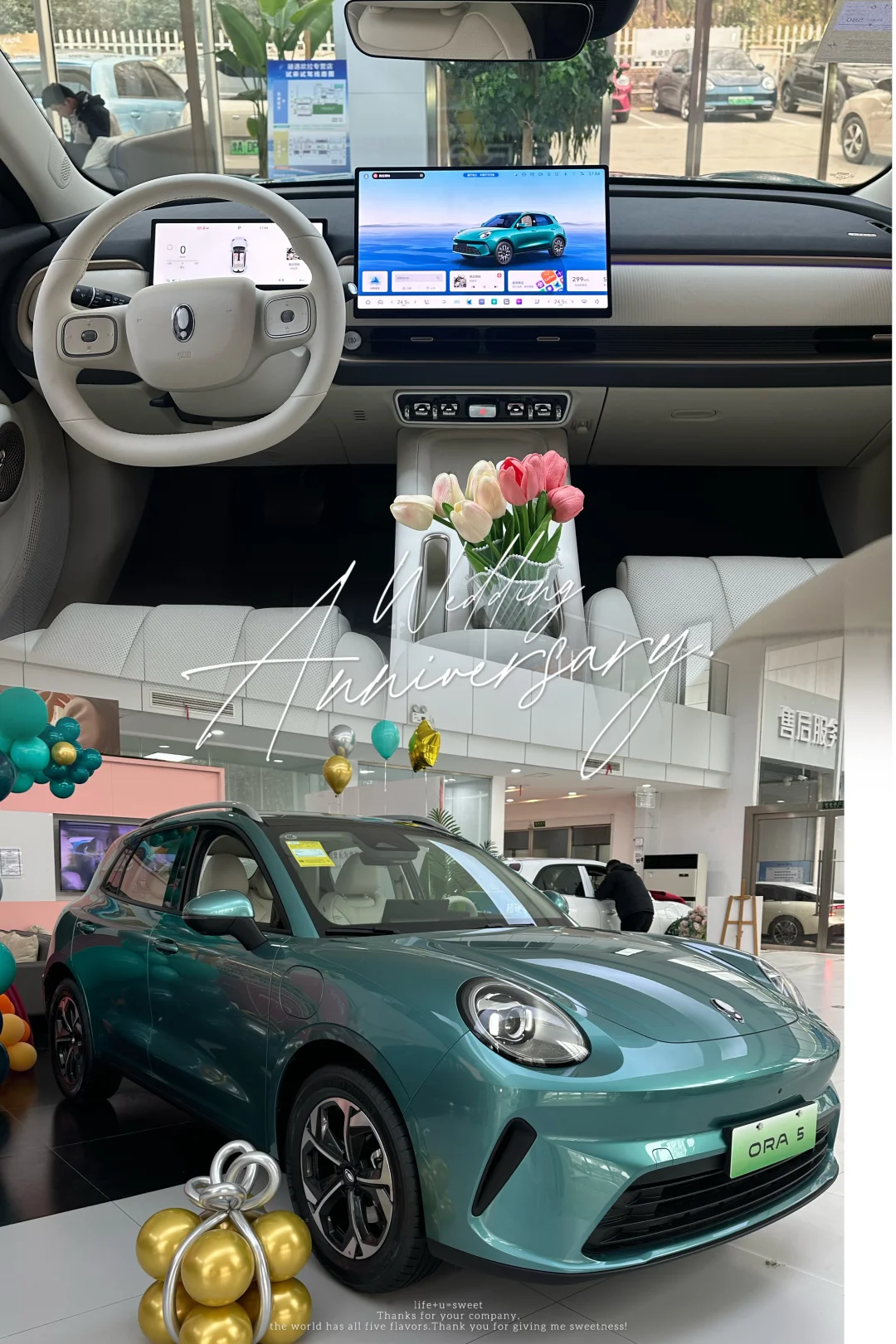 欧拉系列出SUV车型啦💕