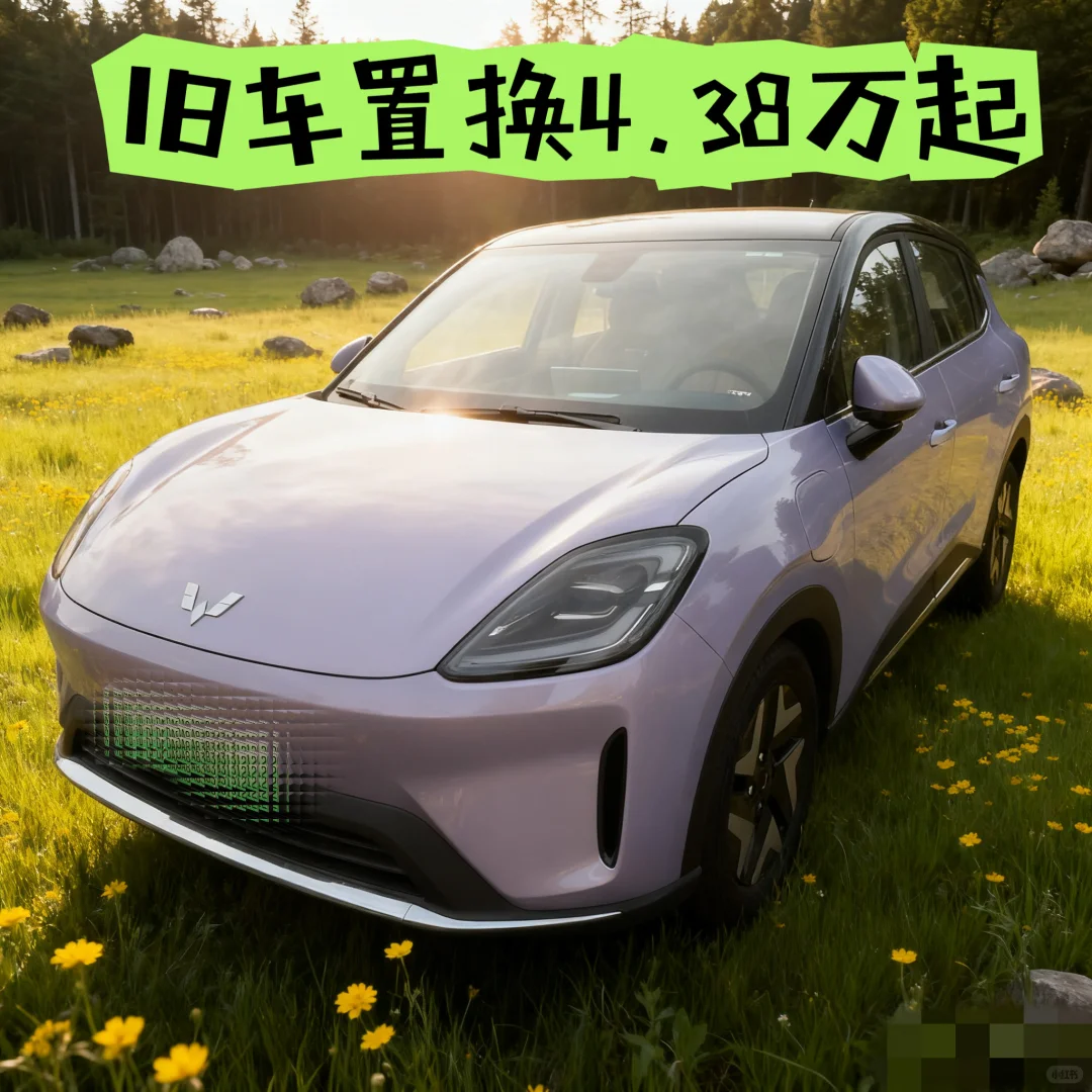 为什么只建议买10W以内的新能源？