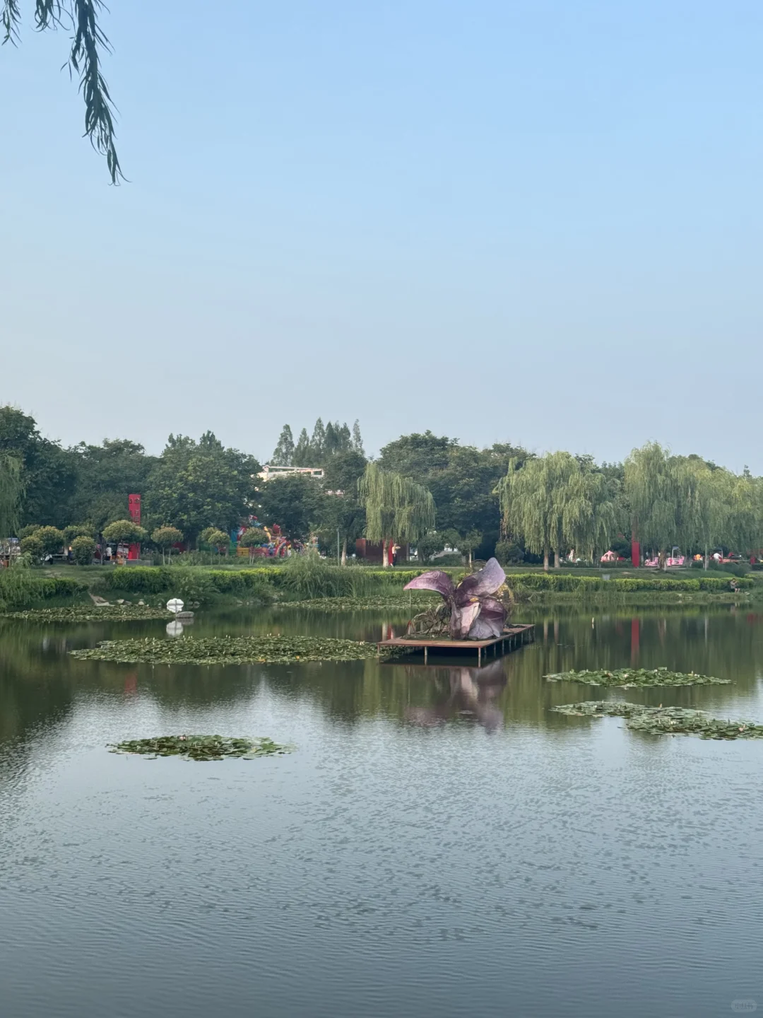 路见不平，蜂鸟摆平