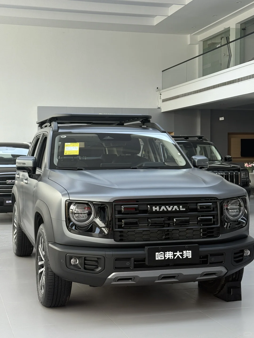 01年女生 预算10w左右 大狗值得入手嘛