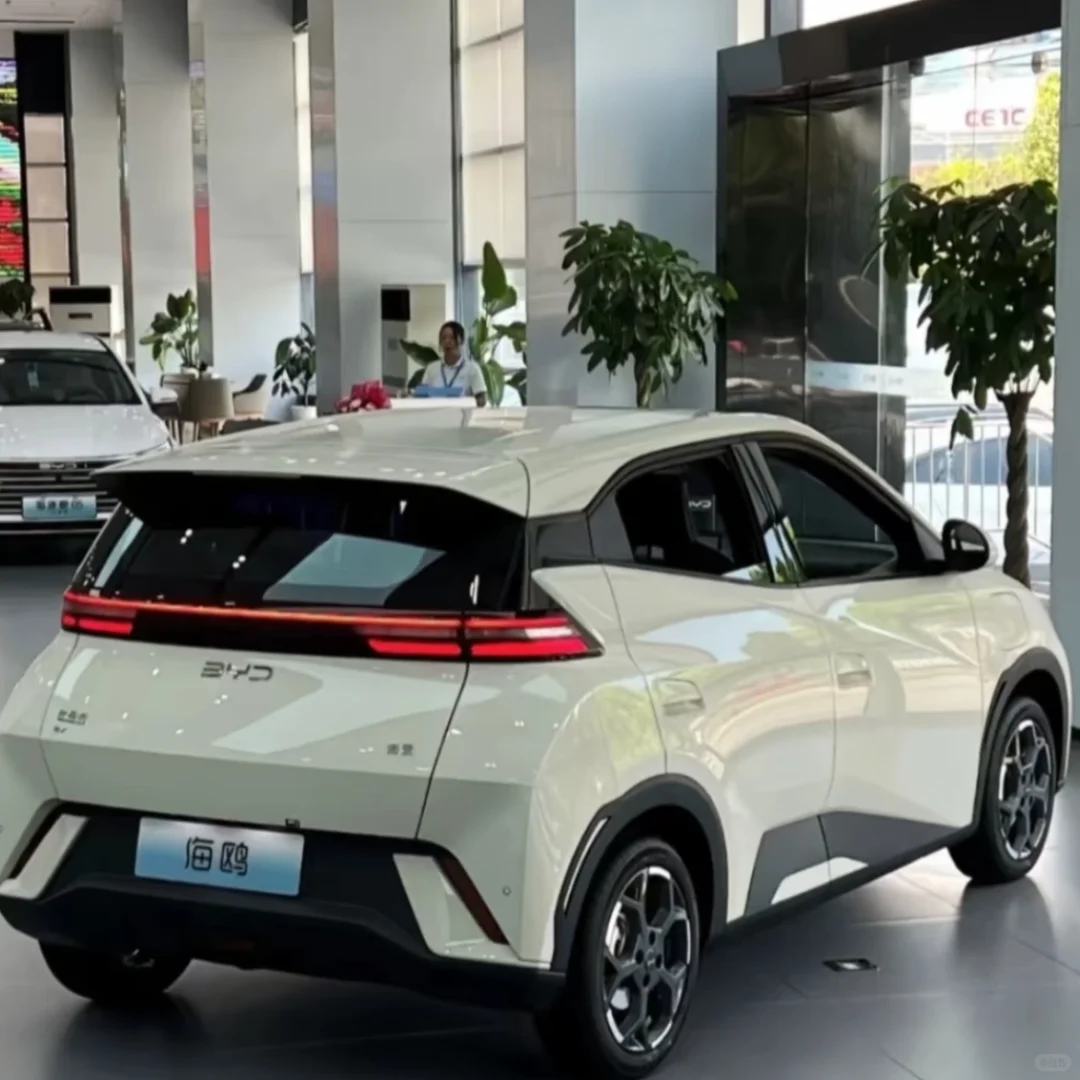 5.58可以买比亚迪海鸥吗❗️❓