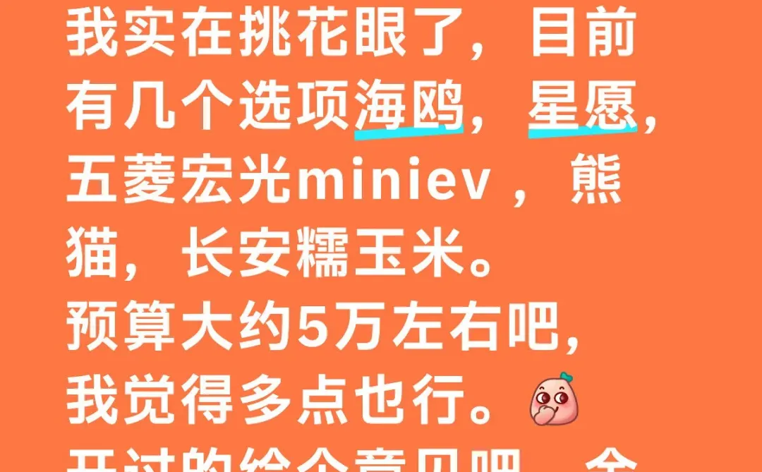 老公让我选个新能源汽车，选好告诉他！