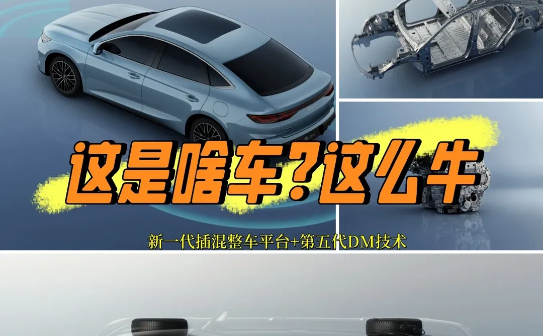 这才是新能源该有的样子！