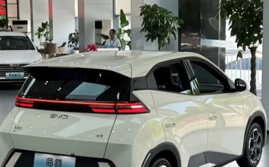 5.58可以买比亚迪海鸥吗❗️❓