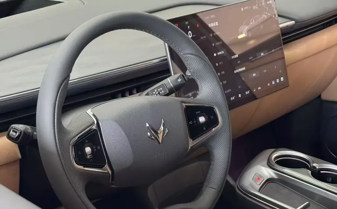 11.98适合年轻人的新能源车