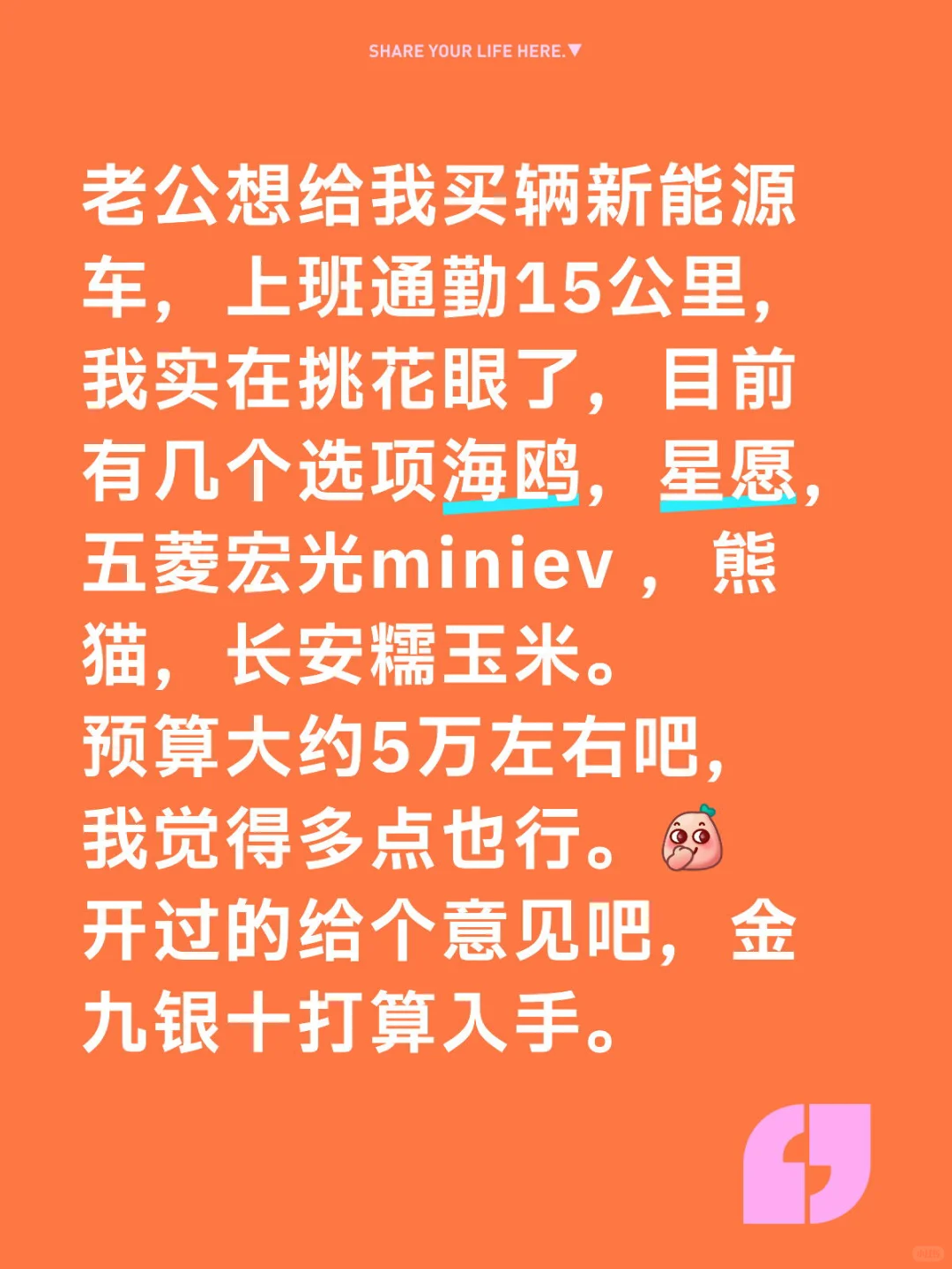 老公让我选个新能源汽车，选好告诉他！