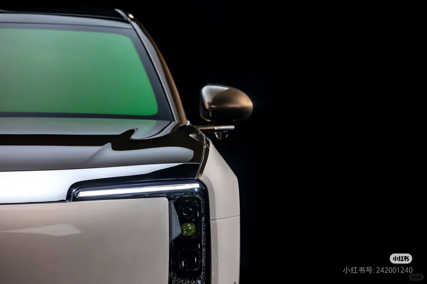 国内首款豪华智能纯电轿车来袭
