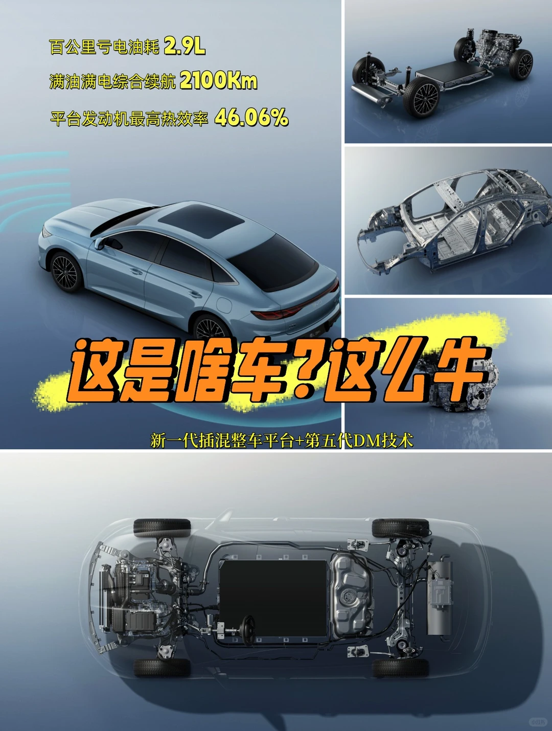 这才是新能源该有的样子！