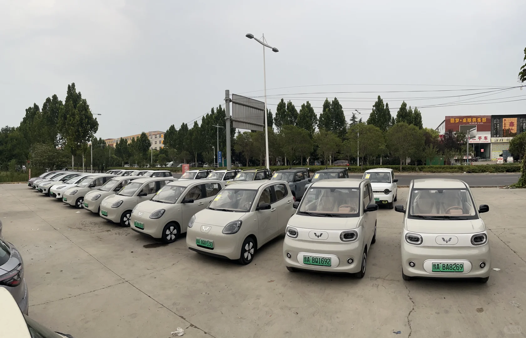 新能源小汽车1w起？