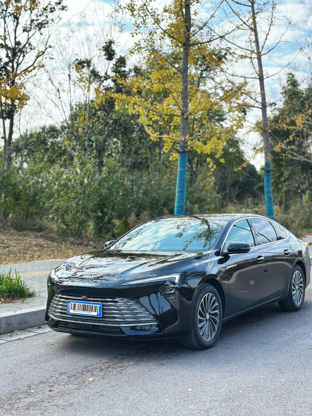 虚荣心太强 花10几万买了台豪华B级车……