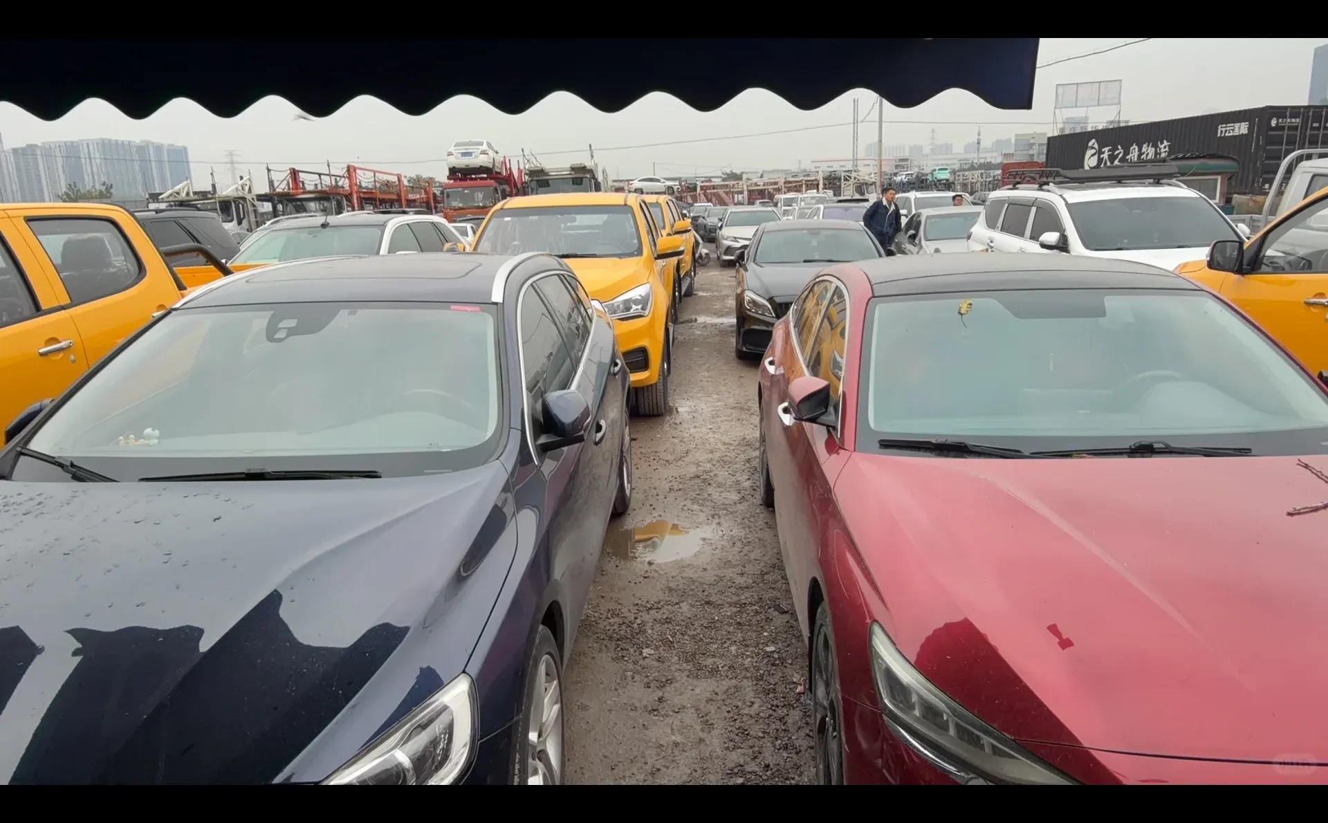 重庆汽车托运、重庆轿车托运来了