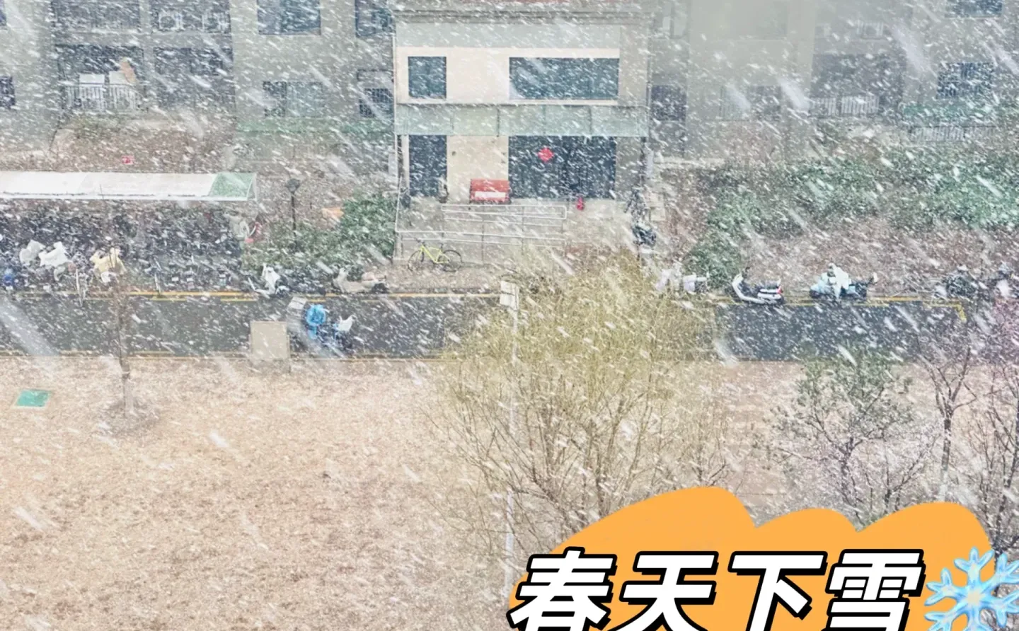 自动驾驶传统规则与端到端