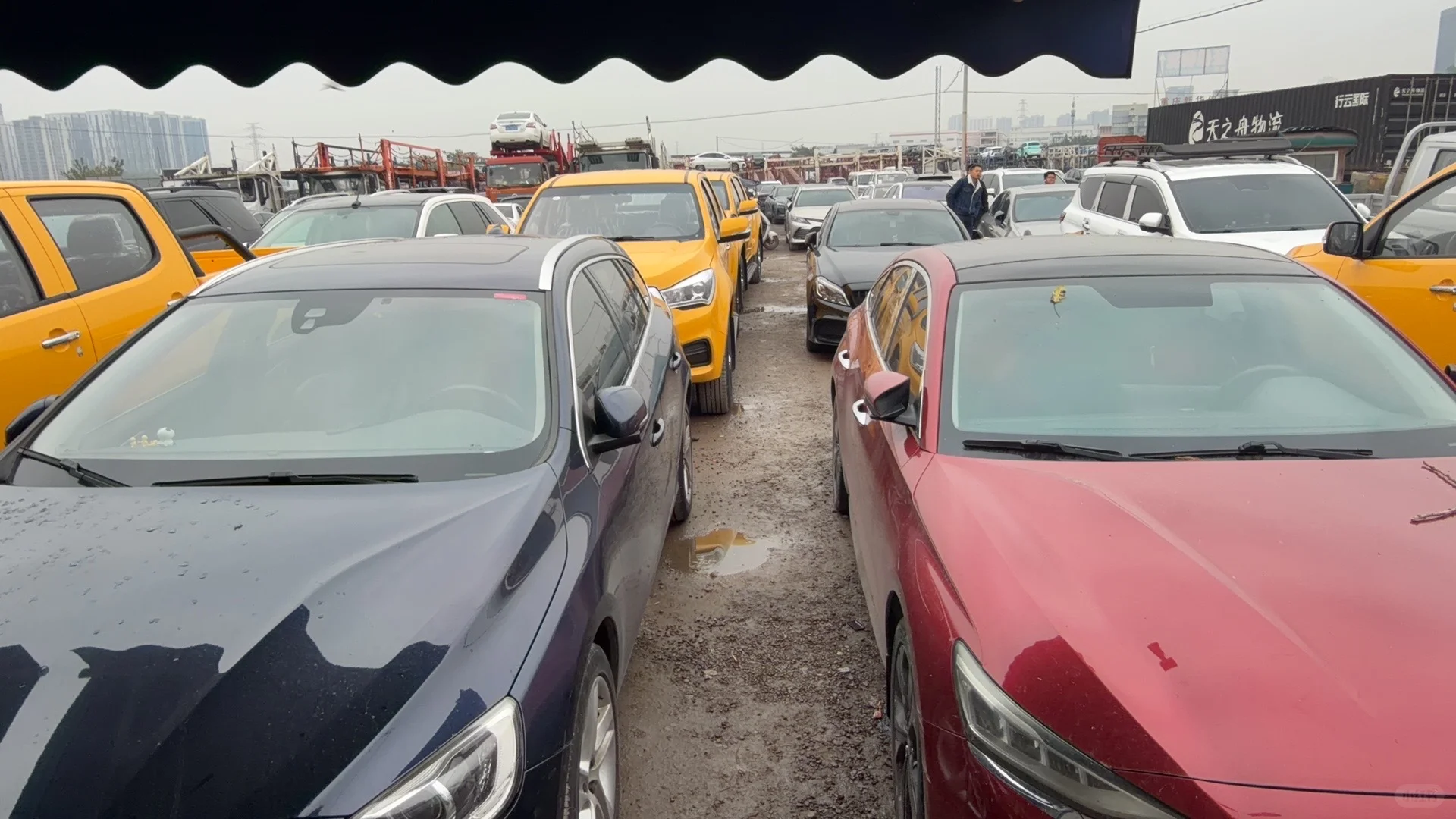 重庆汽车托运、重庆轿车托运来了