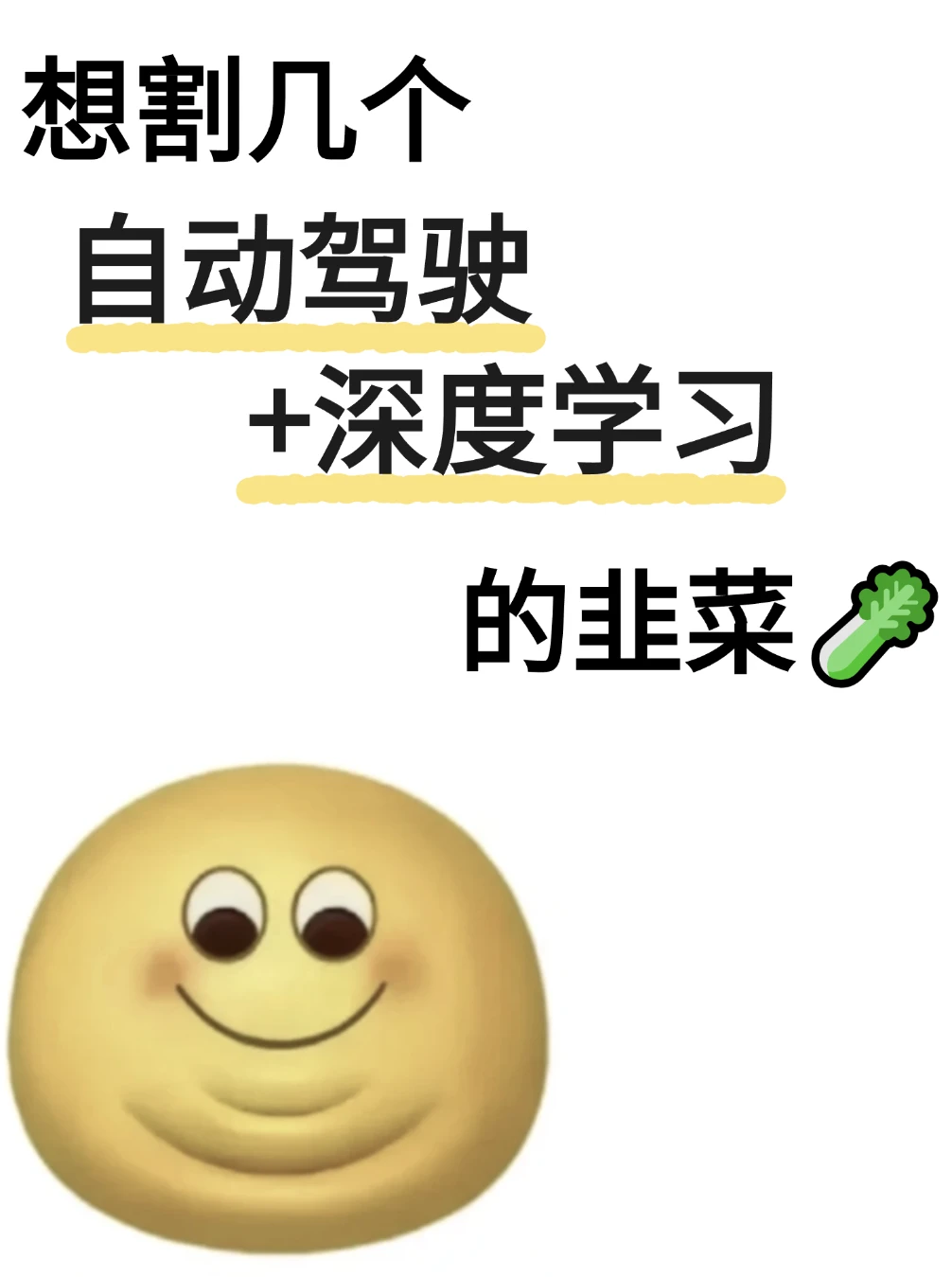 个人认为自动驾驶最速的科研方向🚗