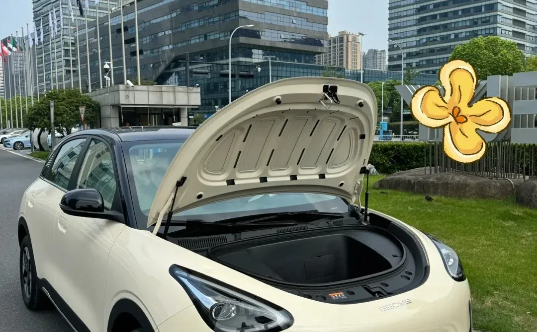 5W多的吉利星愿，让海鸥海豚车主集体破防