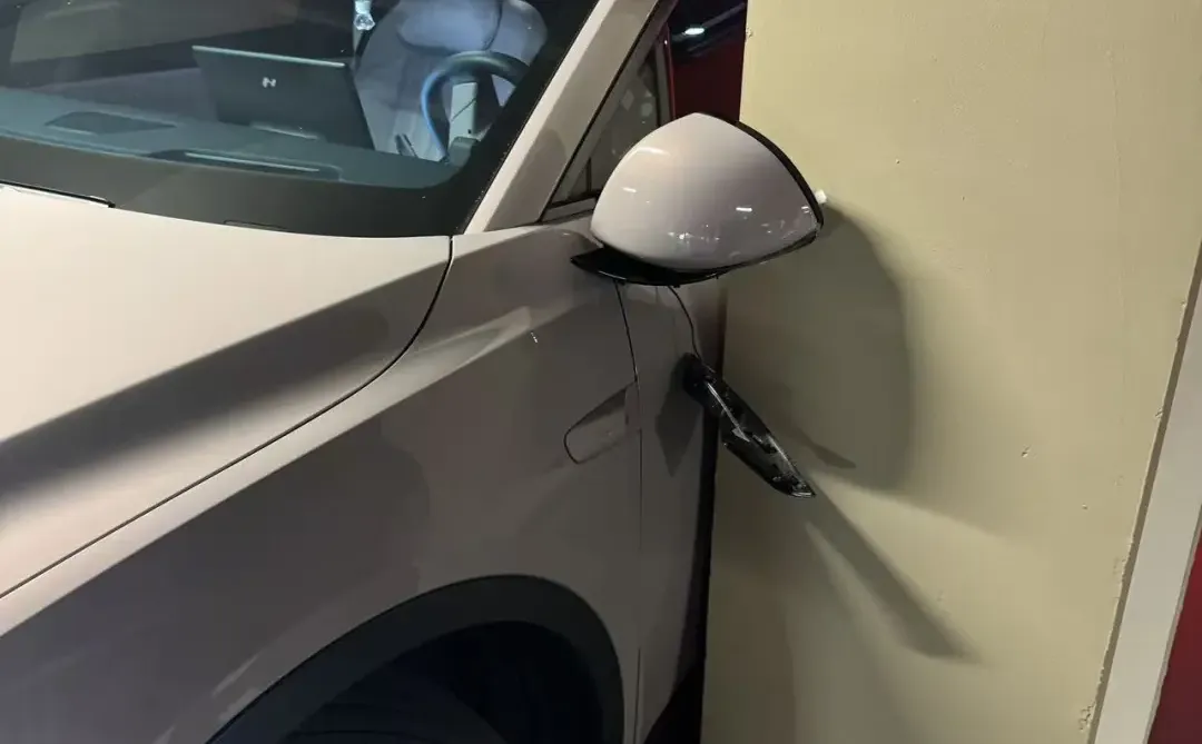 乐道自动泊车出现bug，推脱责任