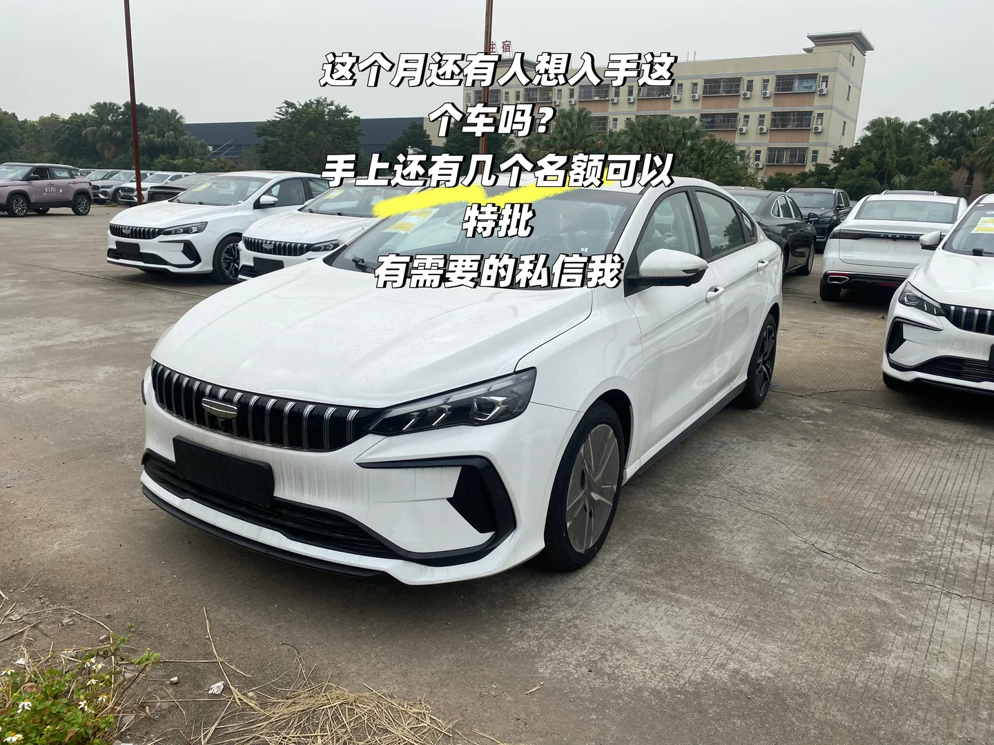 特批几台轿车