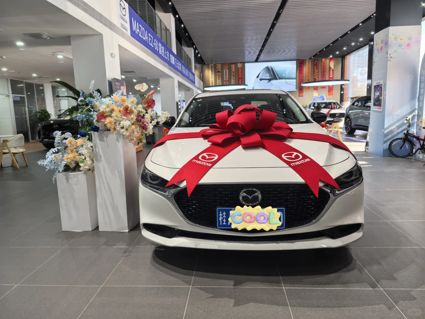 10W出头预算家用轿车