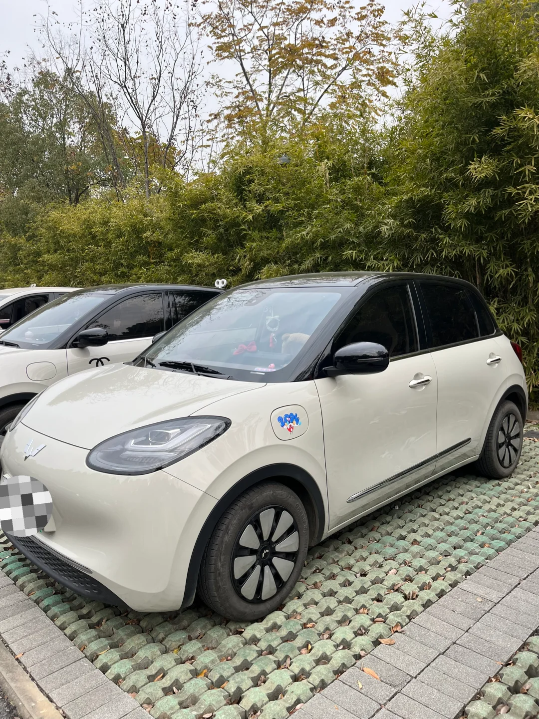 一人来一句劝退五菱缤果