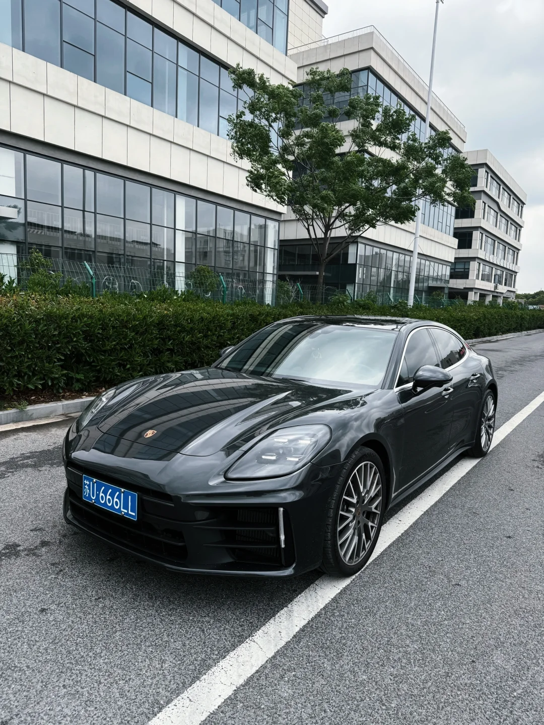 得偿所愿 🤍 等了6个月的梦中情牌