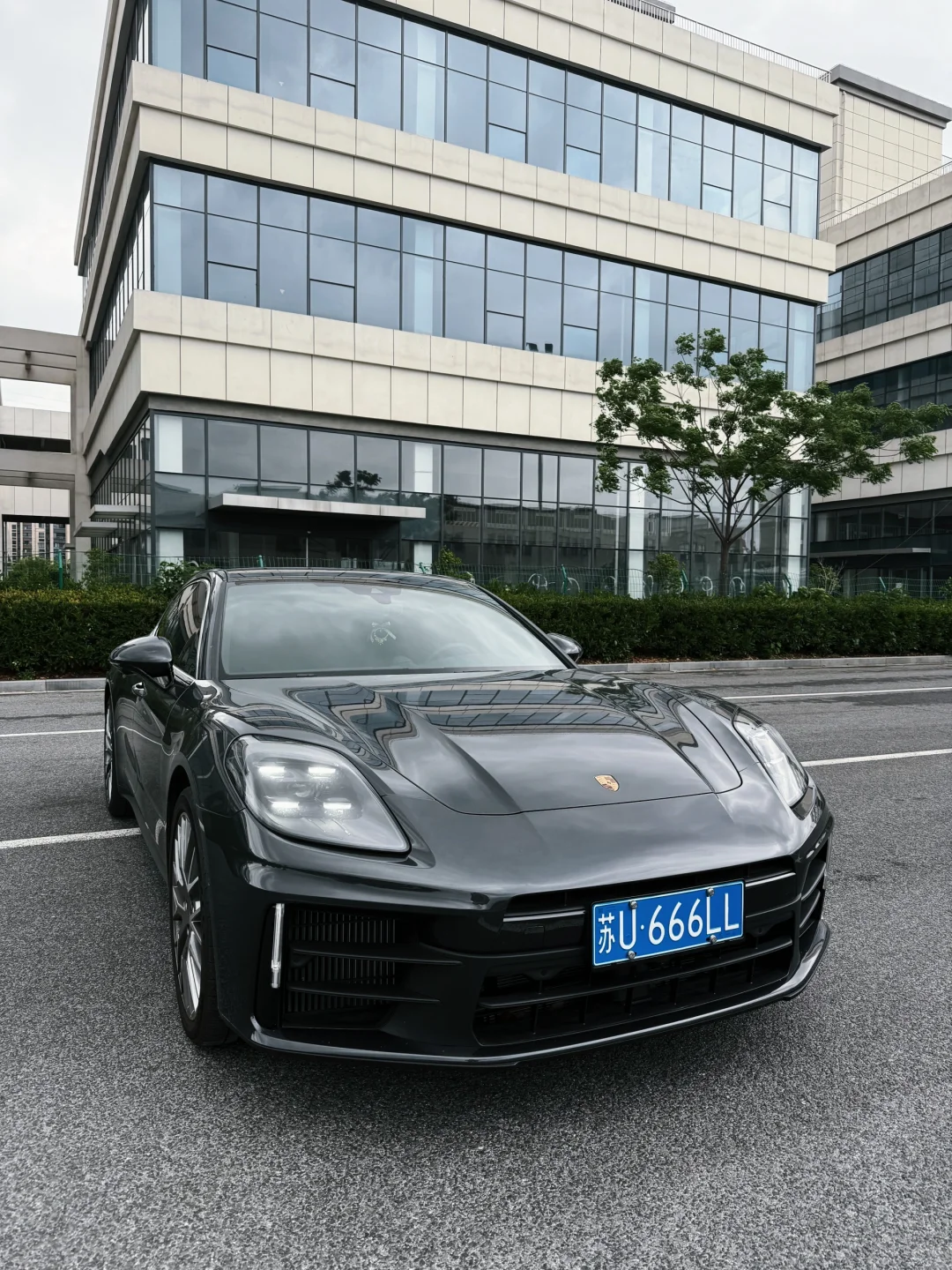 得偿所愿 🤍 等了6个月的梦中情牌