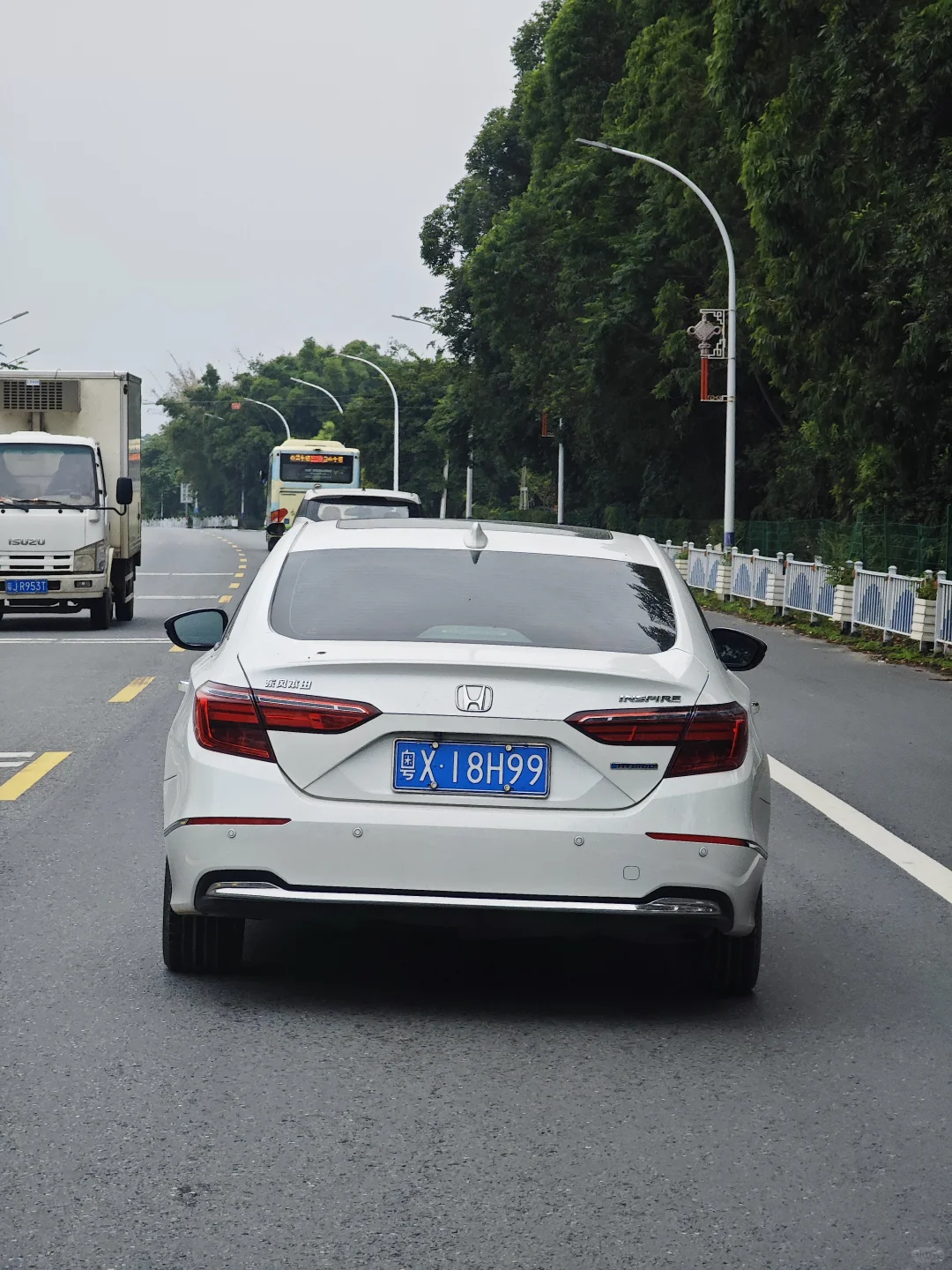 路见，这车牌太好看了吧！