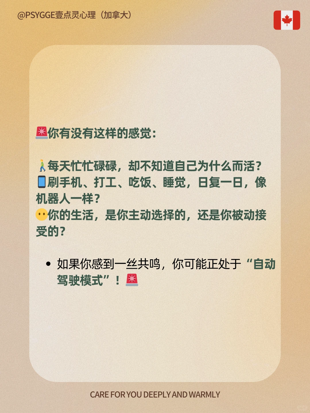 自我觉醒：你真的活着，还是在自动驾驶模式