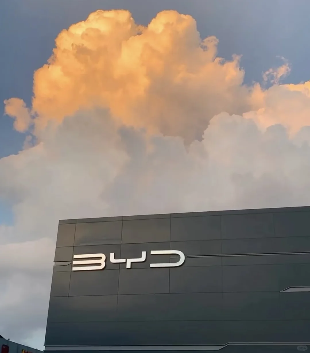 比亚迪一路狂飙，凭什么这么牛？