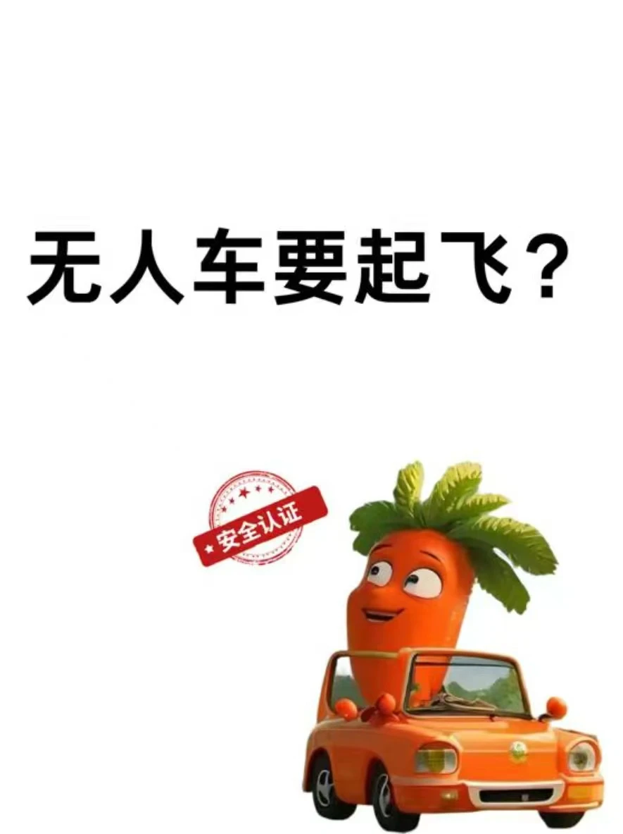 都在竞速自动驾驶，中国再不加速就晚了！