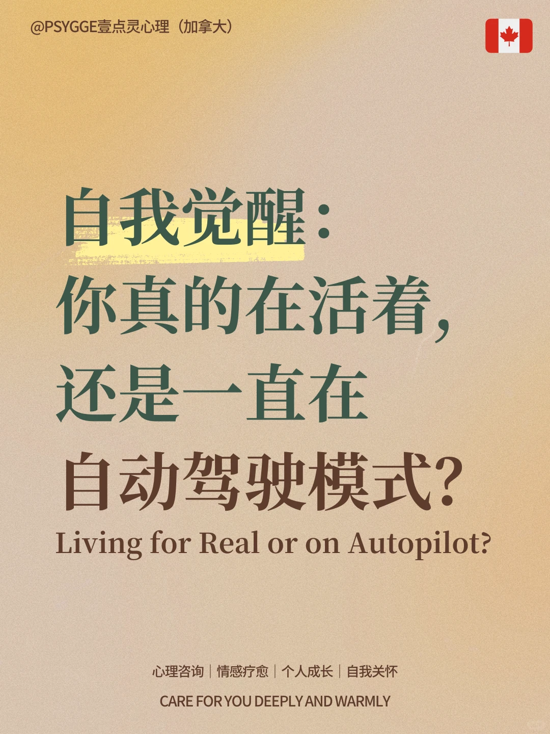 自我觉醒：你真的活着，还是在自动驾驶模式