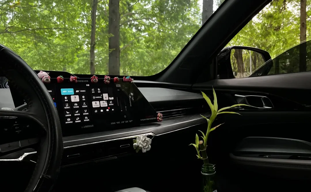 15w的车，这一刻值10w！