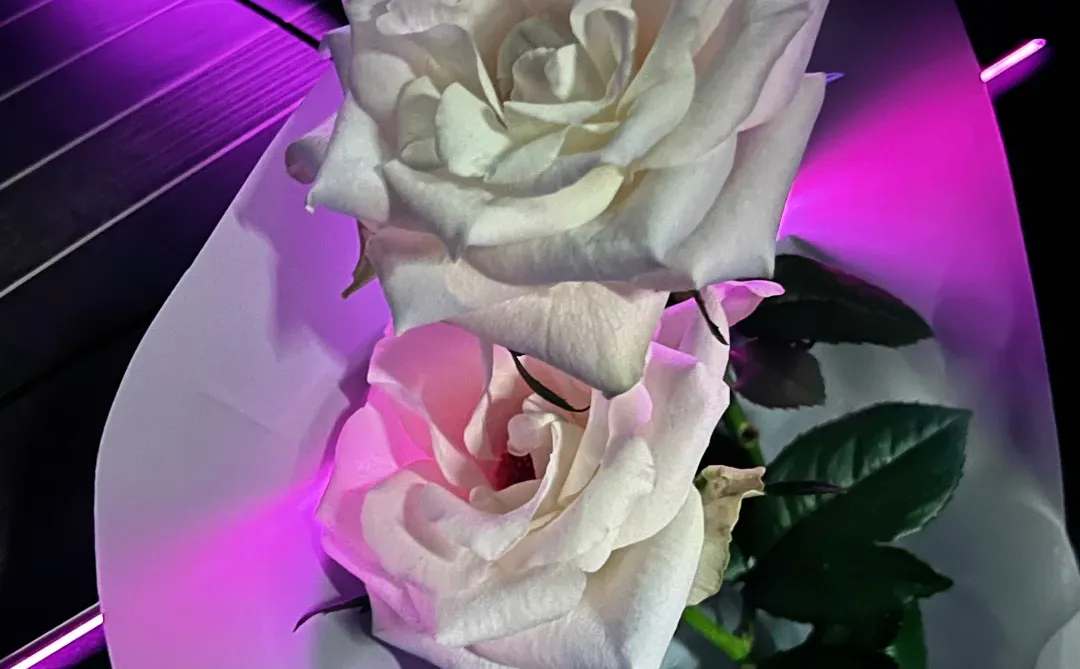 ▪️这内饰谁看了不迷糊