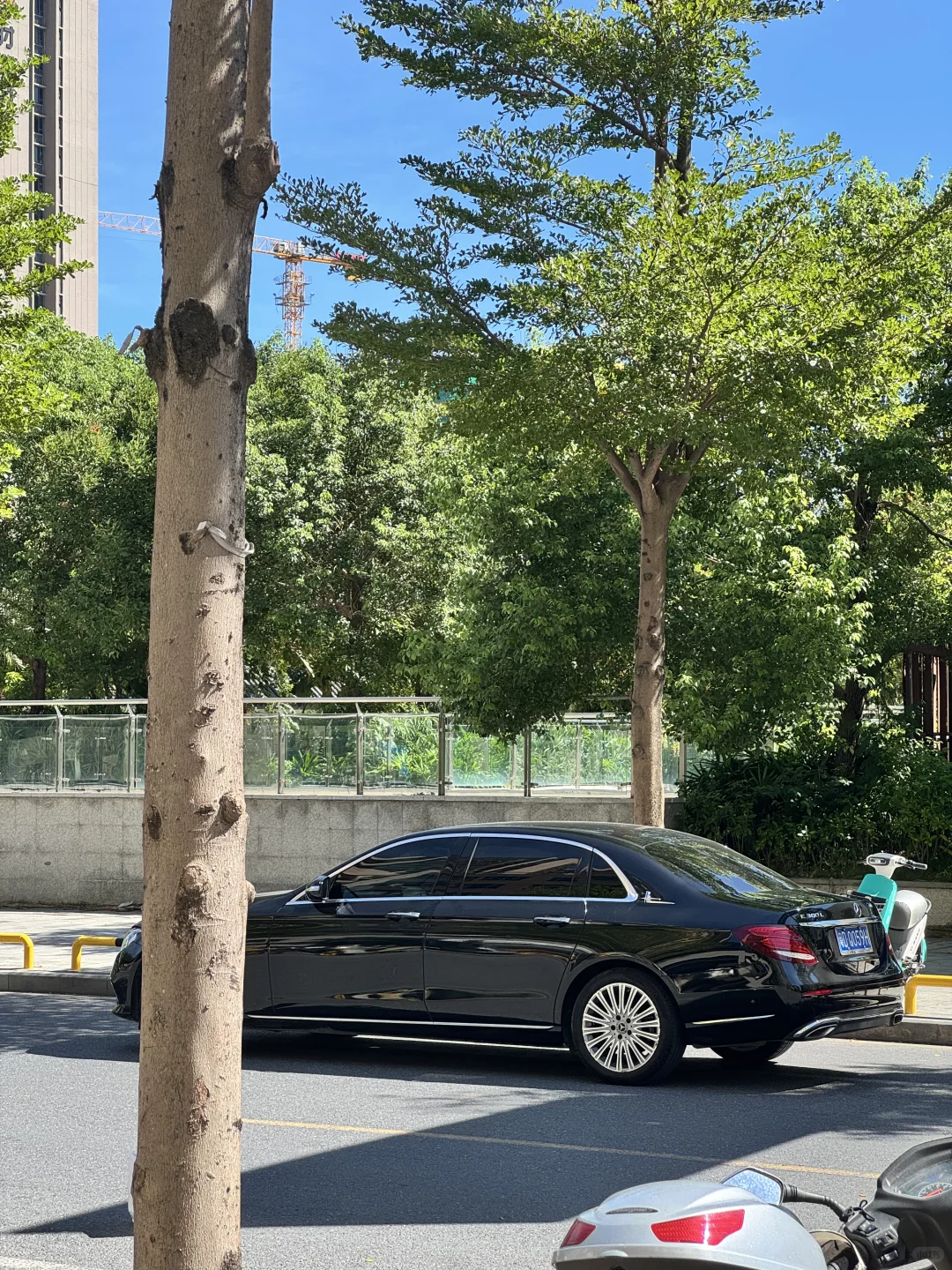 喜欢的live图拿走吧