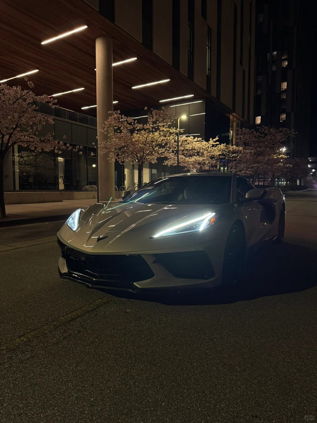 C8克尔维特: 中置6.2自吸大V8！