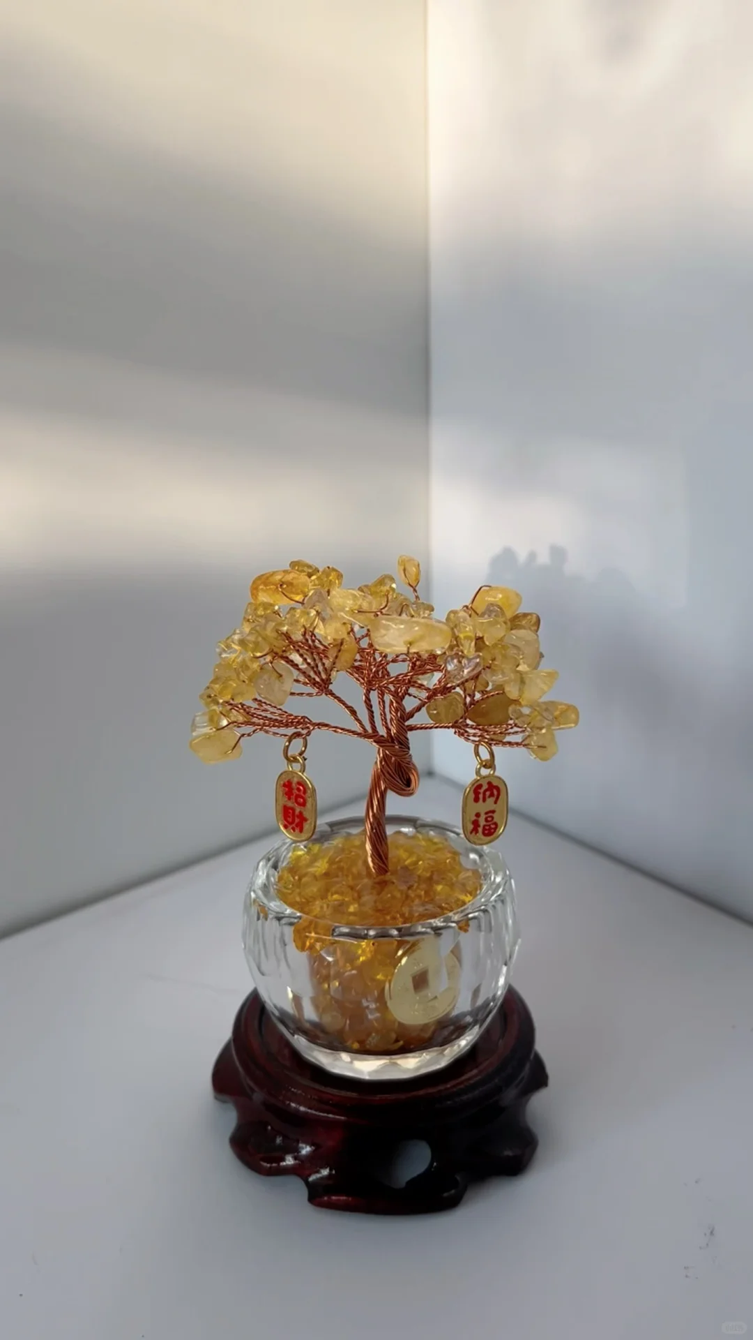 怎么会有这么好看的树~😍