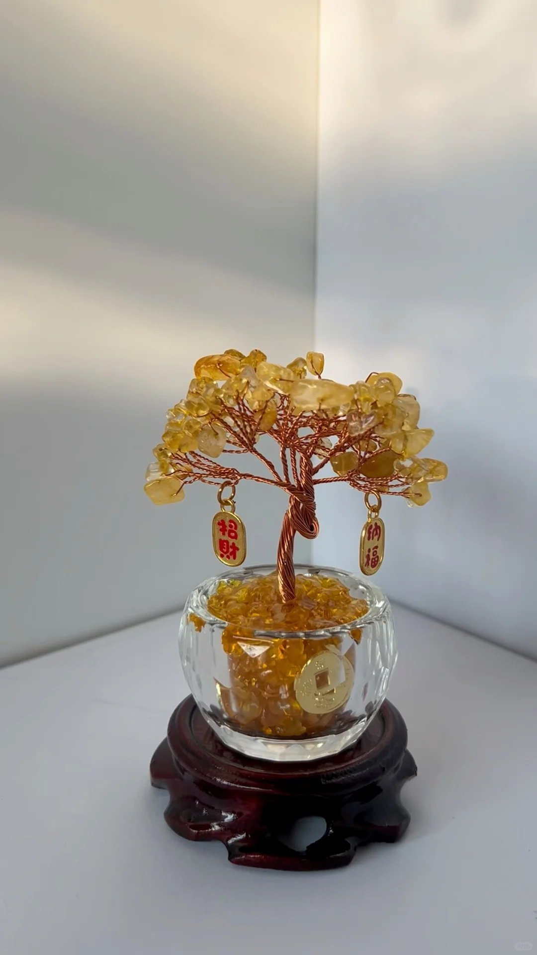 怎么会有这么好看的树~😍