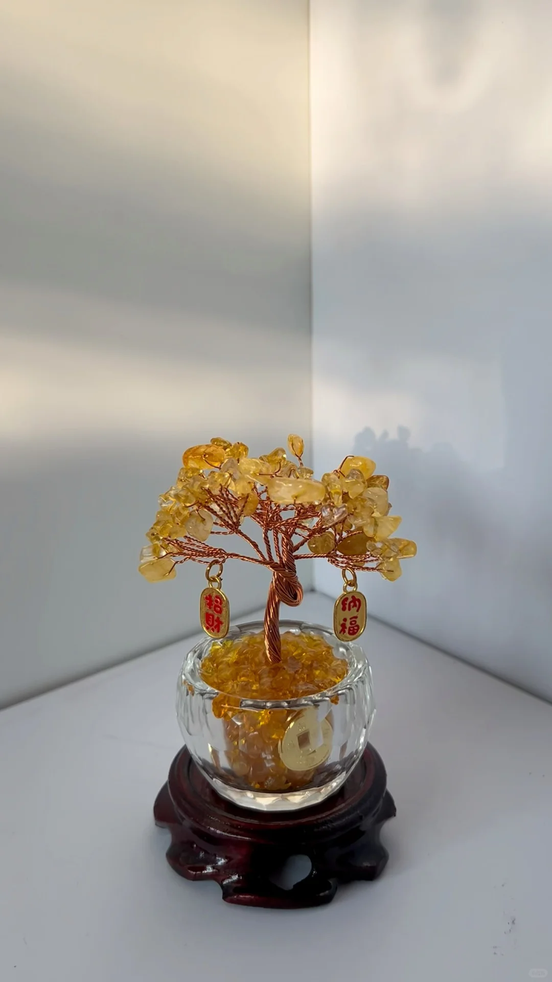 怎么会有这么好看的树~😍