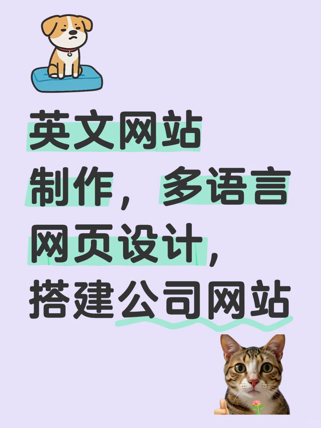 制作英文网站，php网页搭建