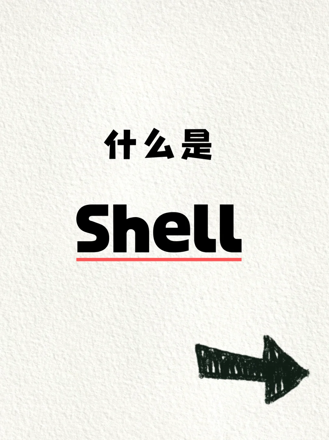 一天一个计算机知识——shell