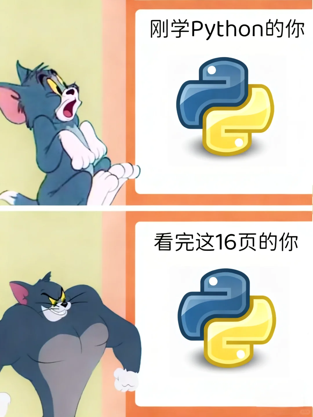 刚学Python的你vs看完这16页的你