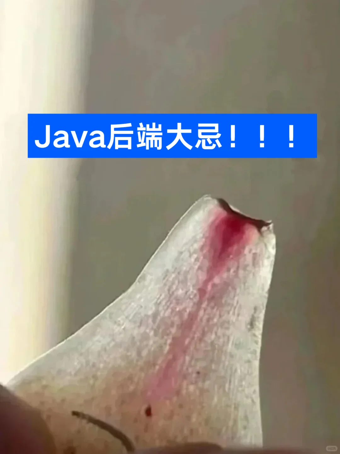 Java大忌！后端开发人一定要知道的禁忌！