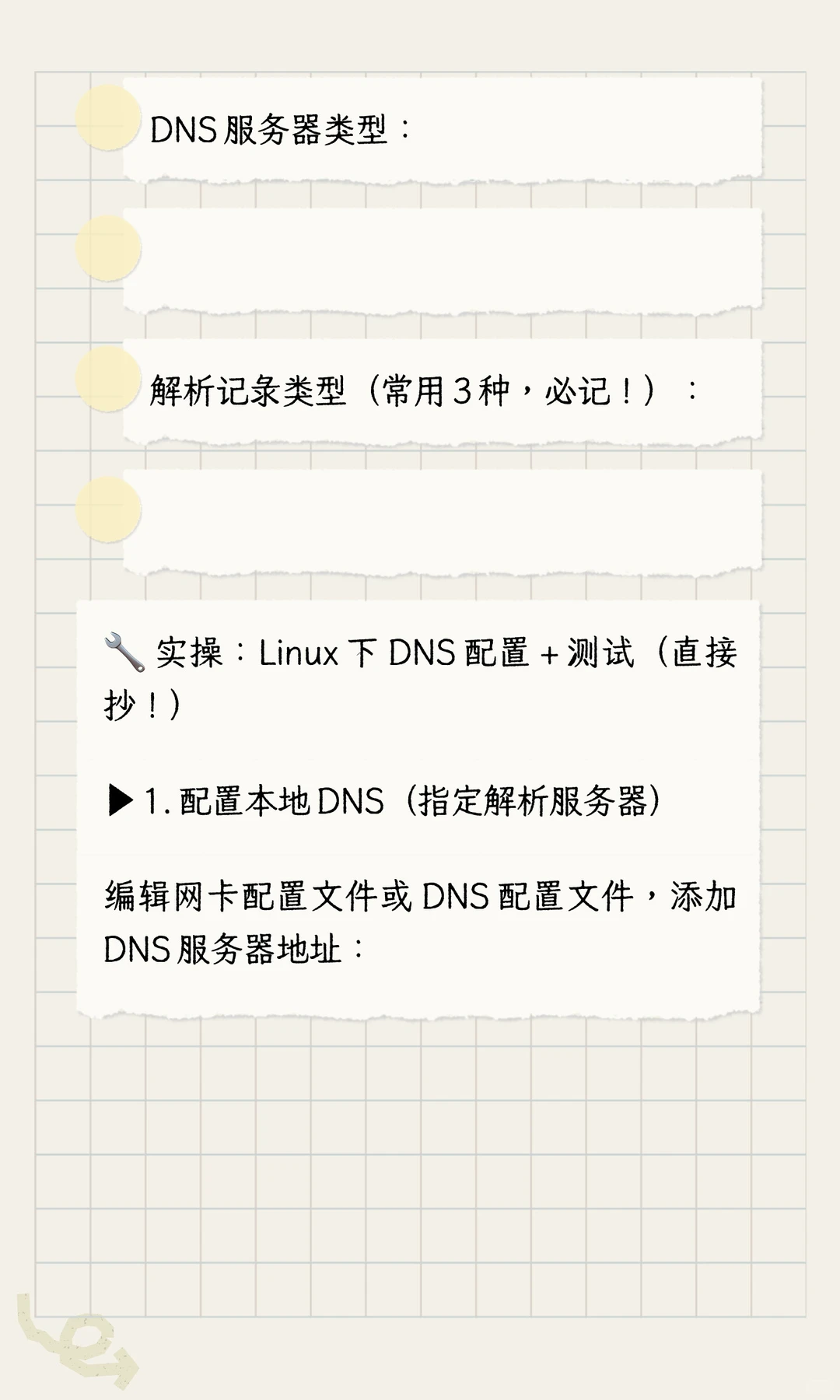学会了域名解析，你的网站就稳了！