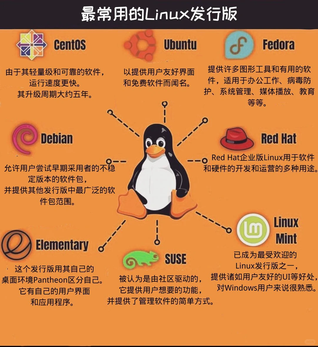 Linux 的主要种类