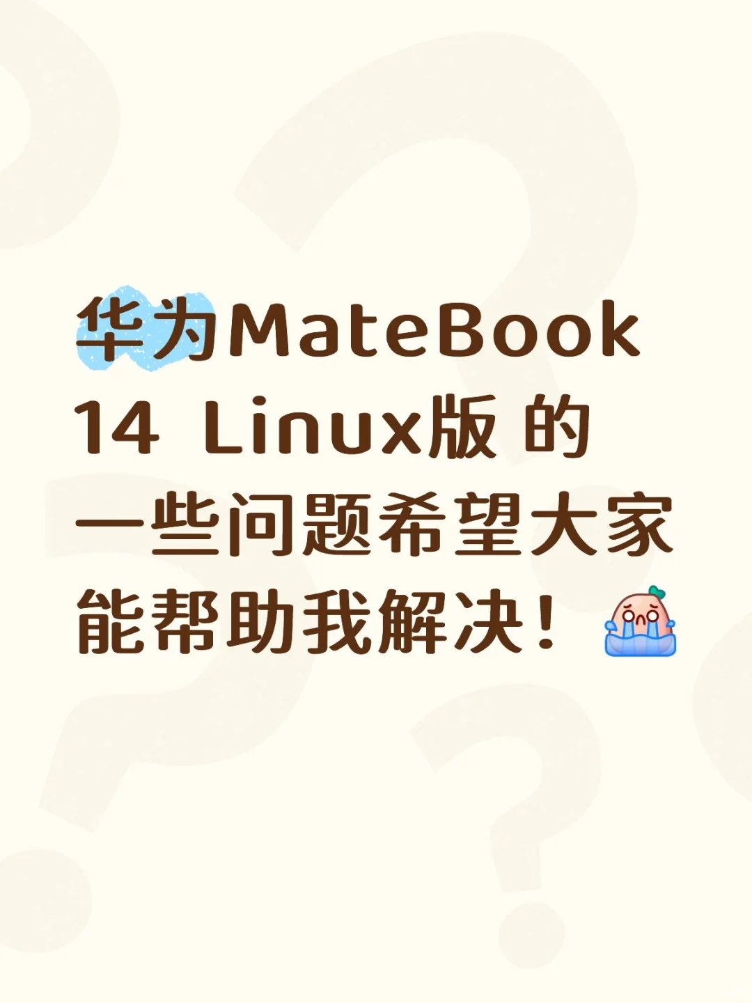 关于华为MateBook 14 Linux版有一些问题!