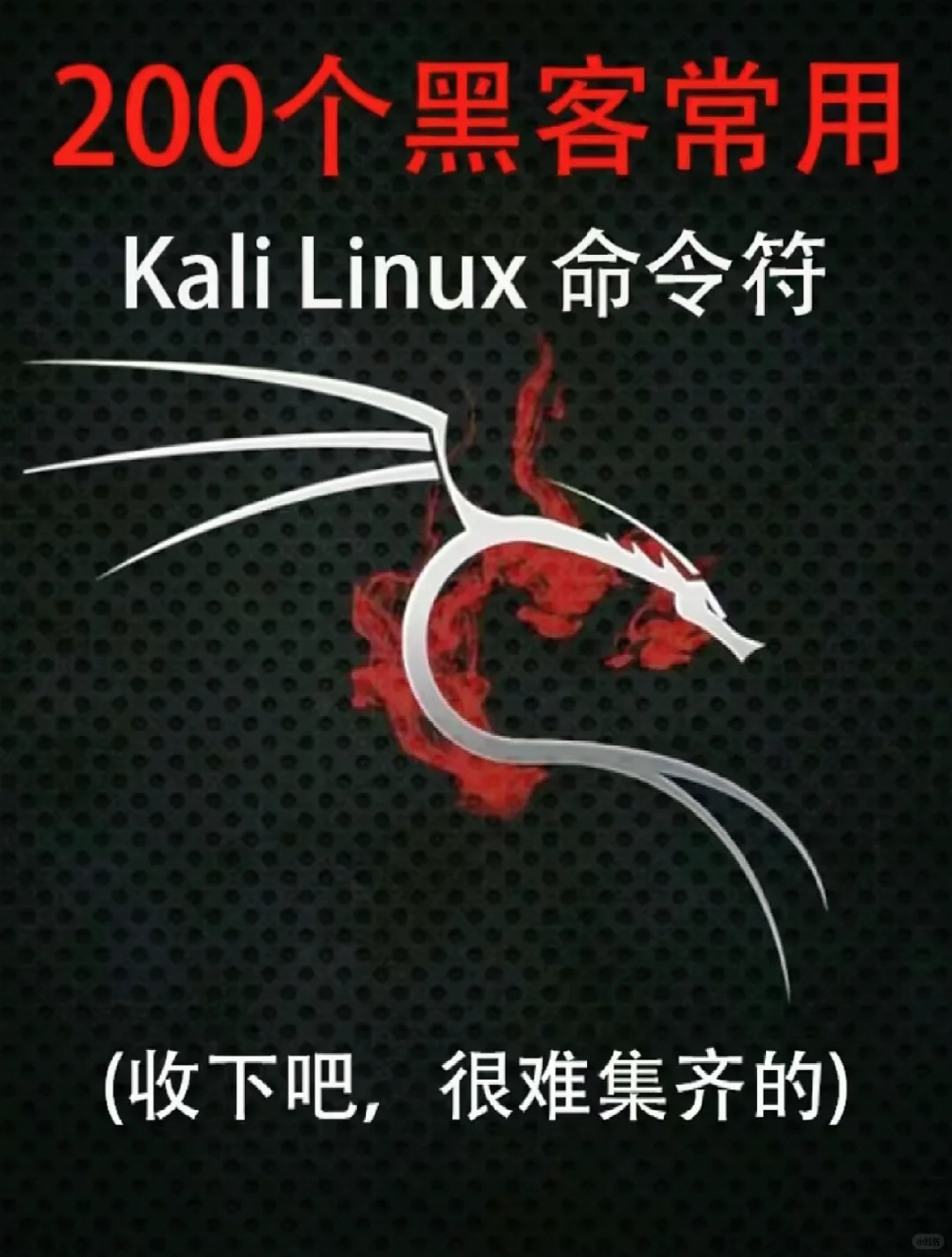 黑客大佬🔥都用的200个常用kali linux符