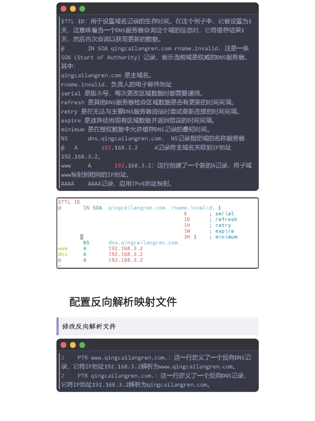 Linux下轻松配置DNS服务