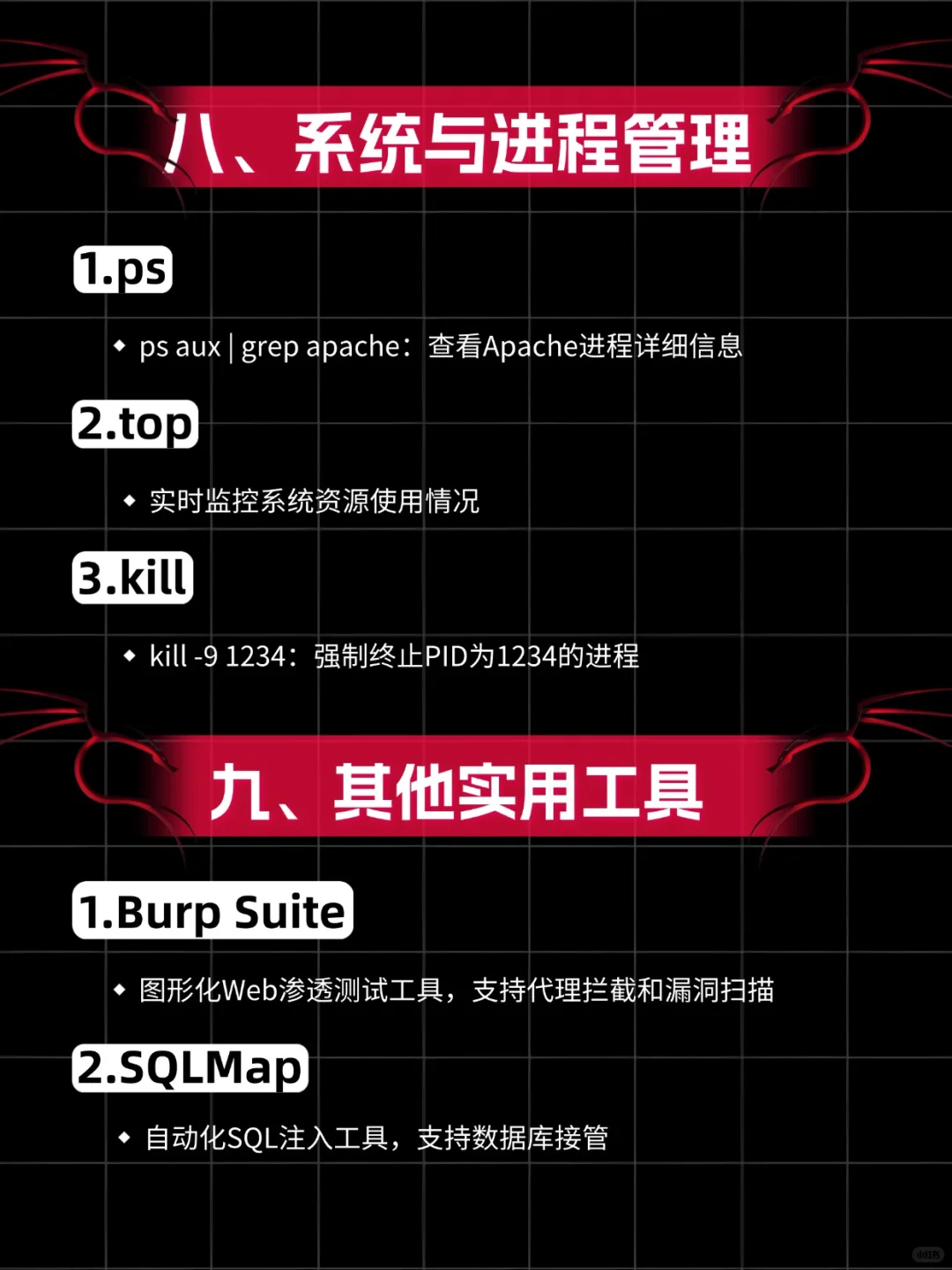 黑客技术--Kali Linux命令手册